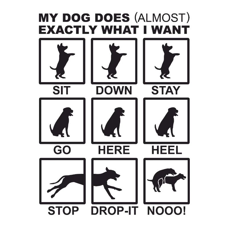 Dog Commands