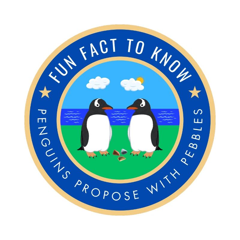 Penguins propose with pebbles