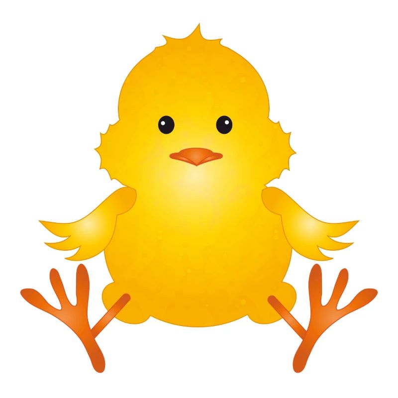freshly hatched cute fluffy chick