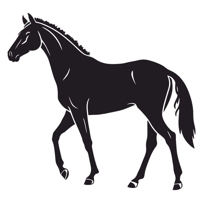 Conception élégante de la silhouette du cheval noir