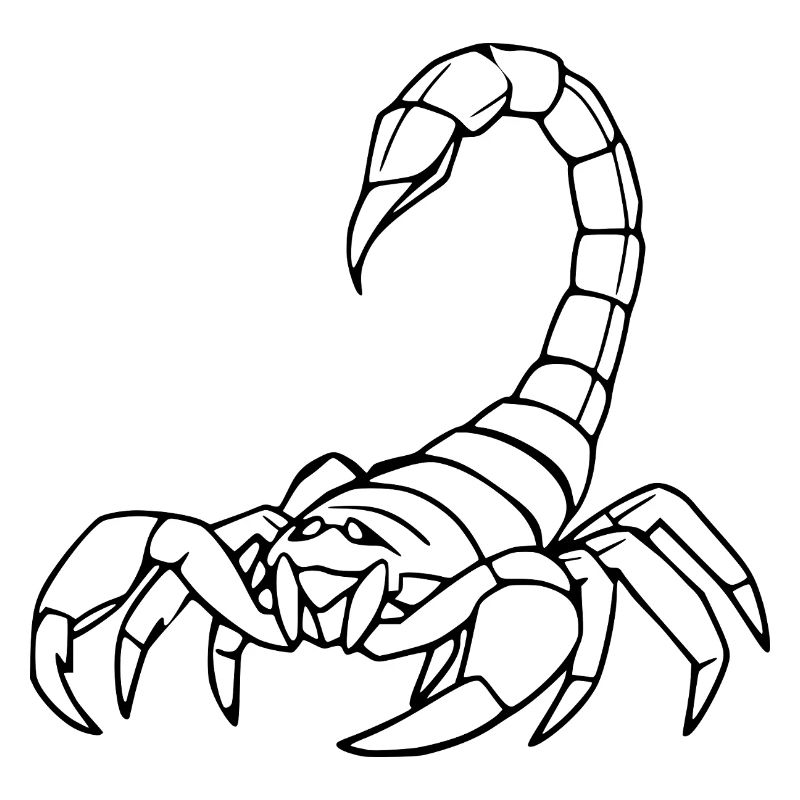 Skorpion Sternzeichen T-shirt Geschenk