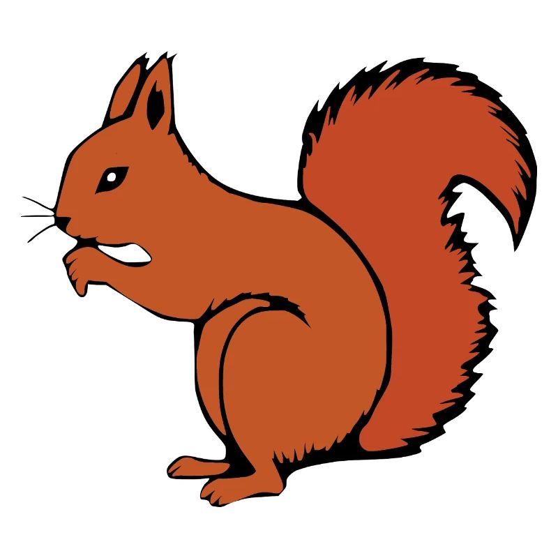 Eichhörnchen Geschenk Weihnachten