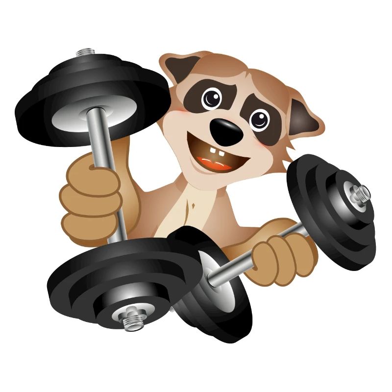 Bodybuilder Erdmännchen mit Hanteln beim Training