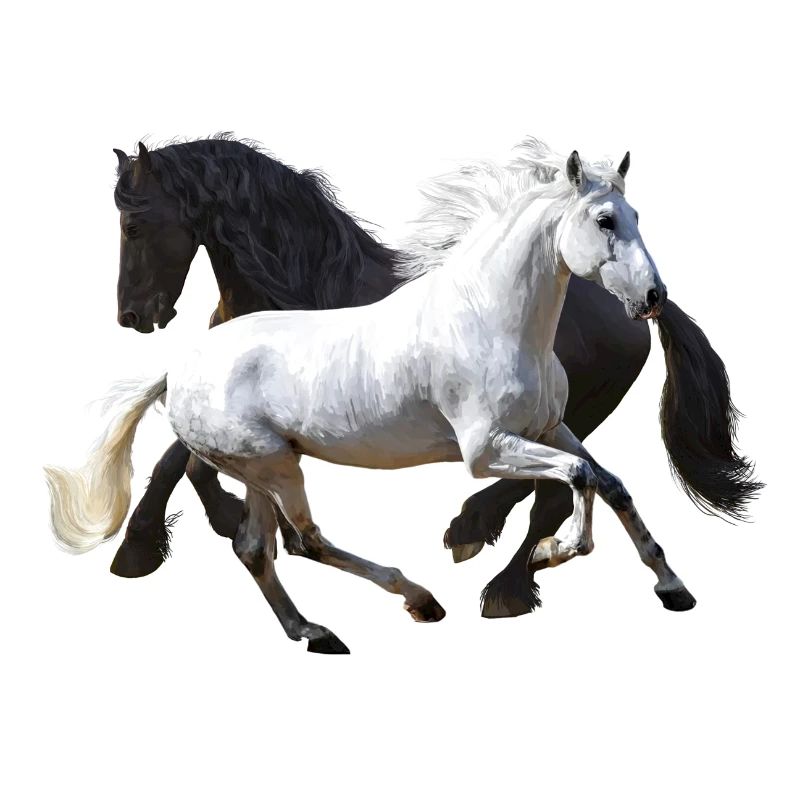 Pferde
