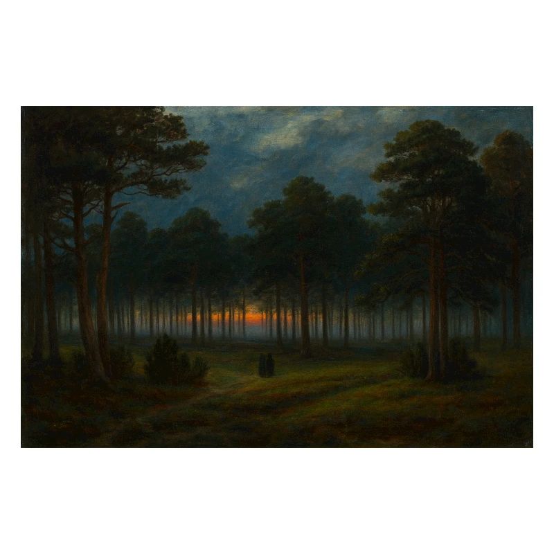 Abenddämmerung im dunklen Wald
