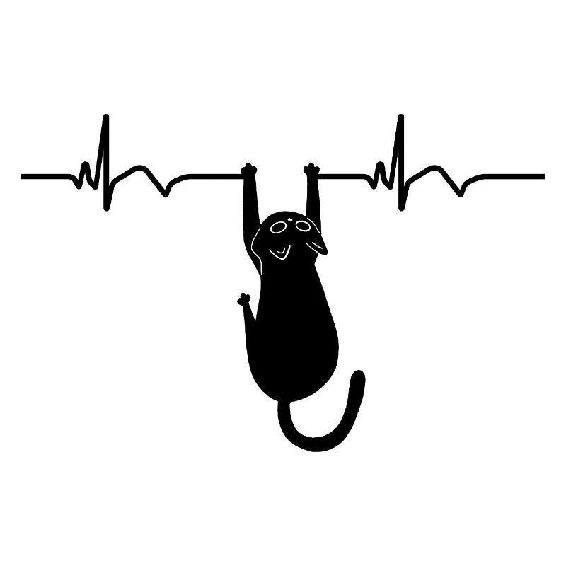 Katze EKG Herzfrequenz Herzschlag