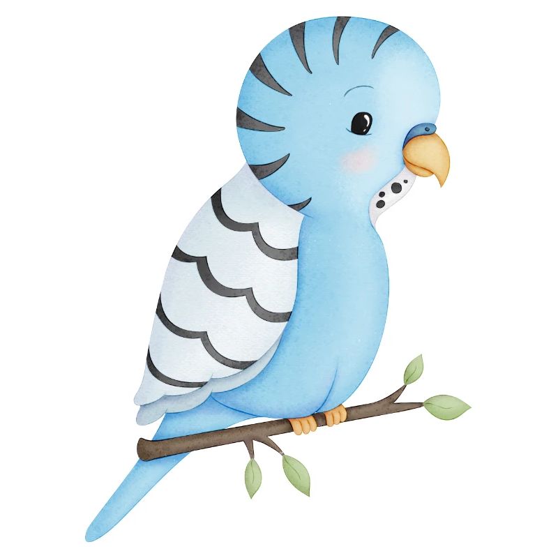 mignon oiseau perruche