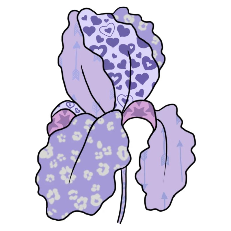 Bunte_Iris