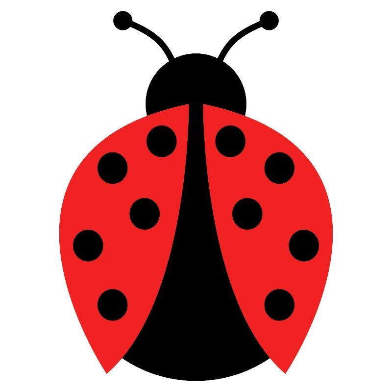 ladybug