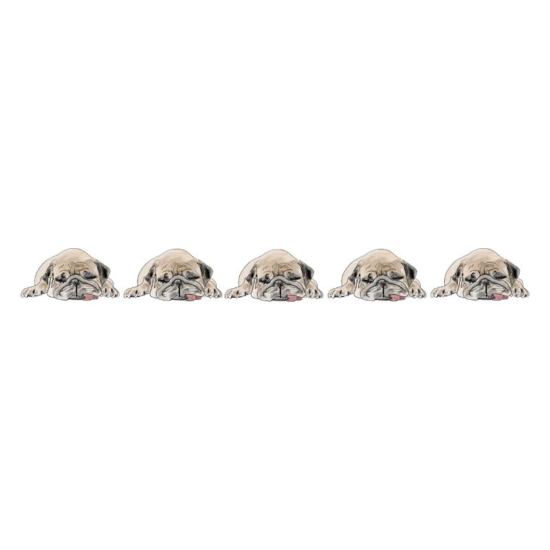 5 Carlins