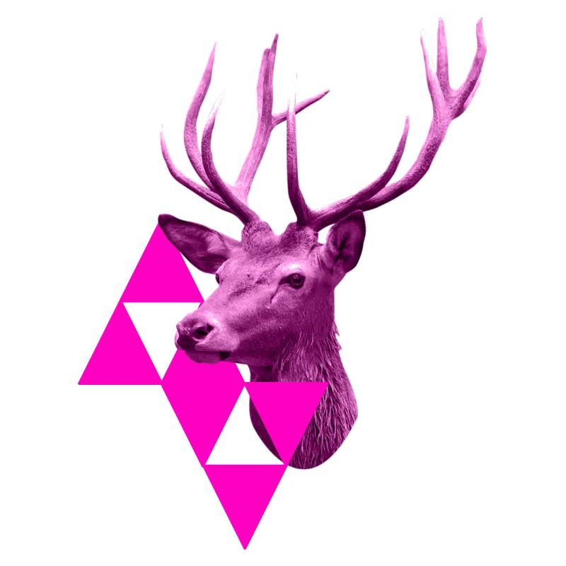 pinker Hirsch