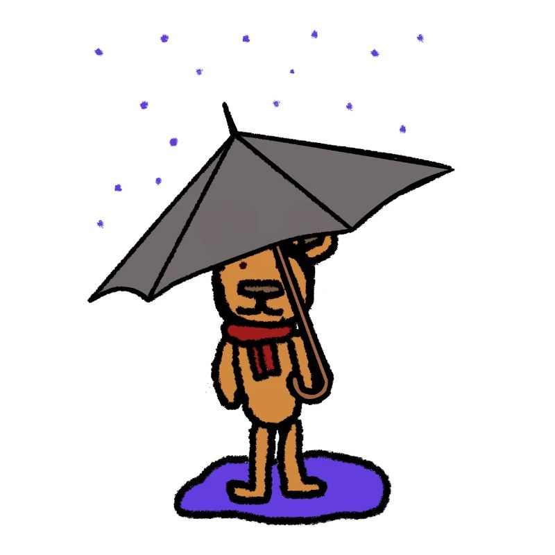 Teddy Bear, Severe Weather, Bear, Rain, Weather, October, Autumn