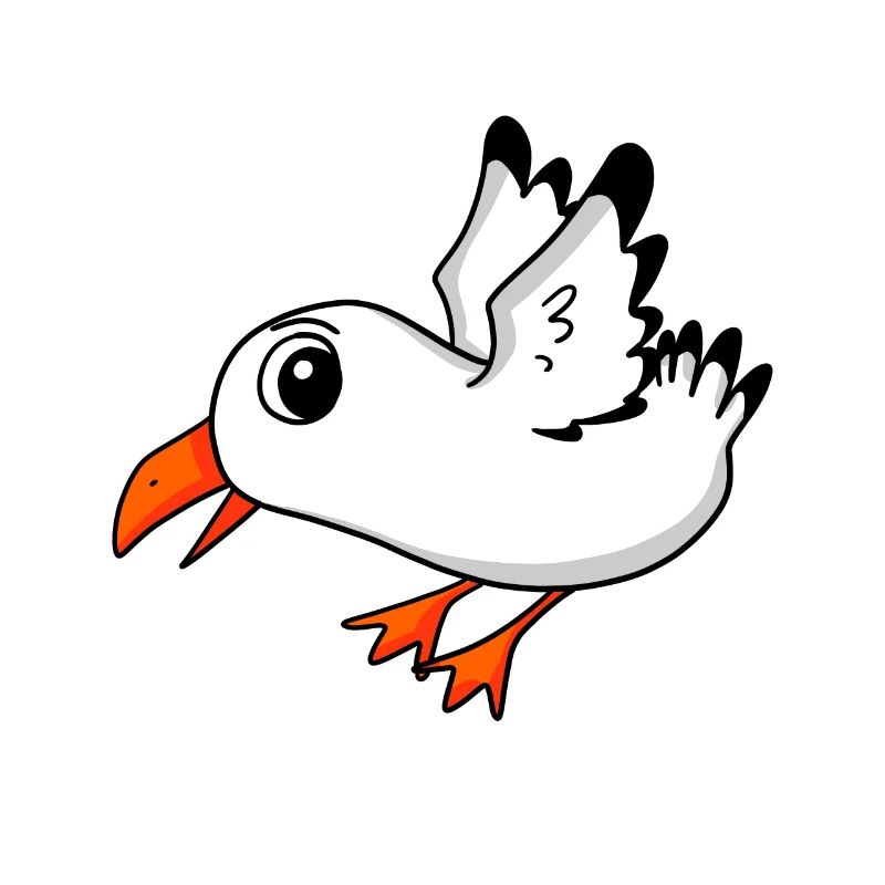 Oiseau mouette