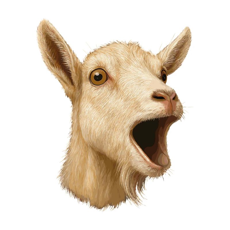 Chèvre Chèvre Élevage Chèvre Éleveur de chèvres Éleveur de chèvres Chèvre