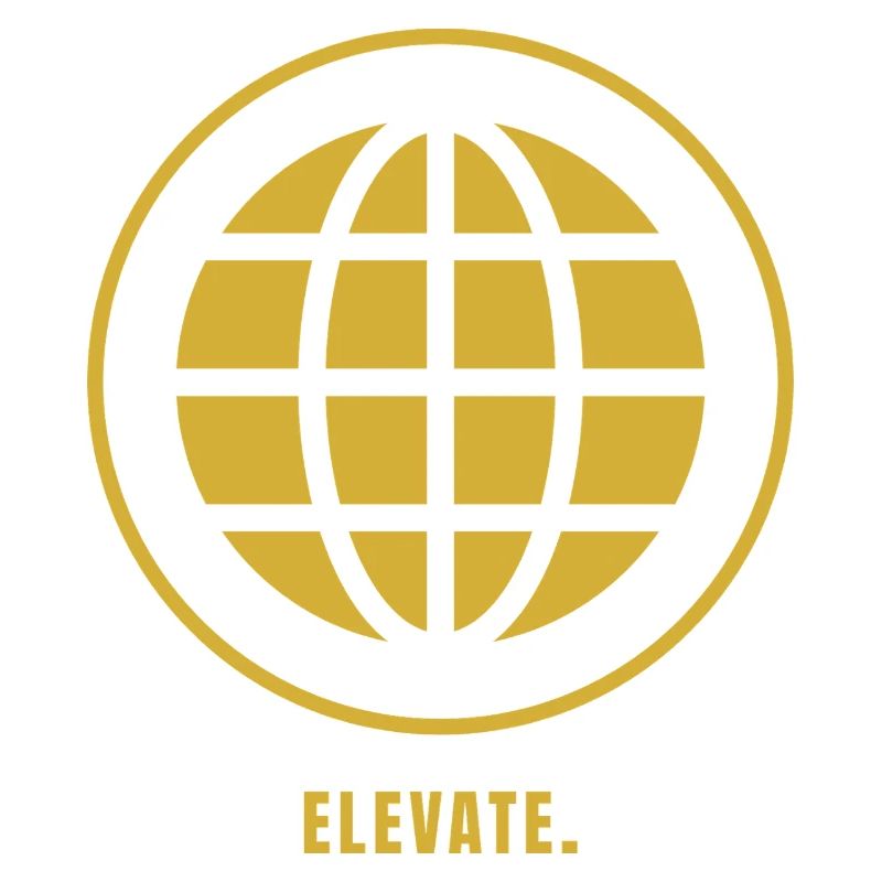 ELEVATE. Success Edition | Gold Mindset Design