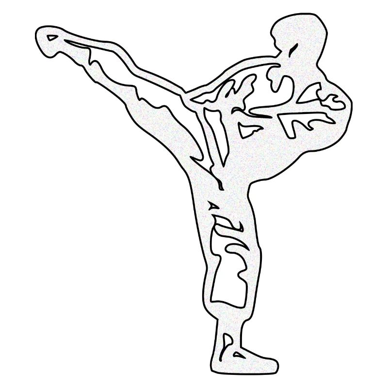 karate silber