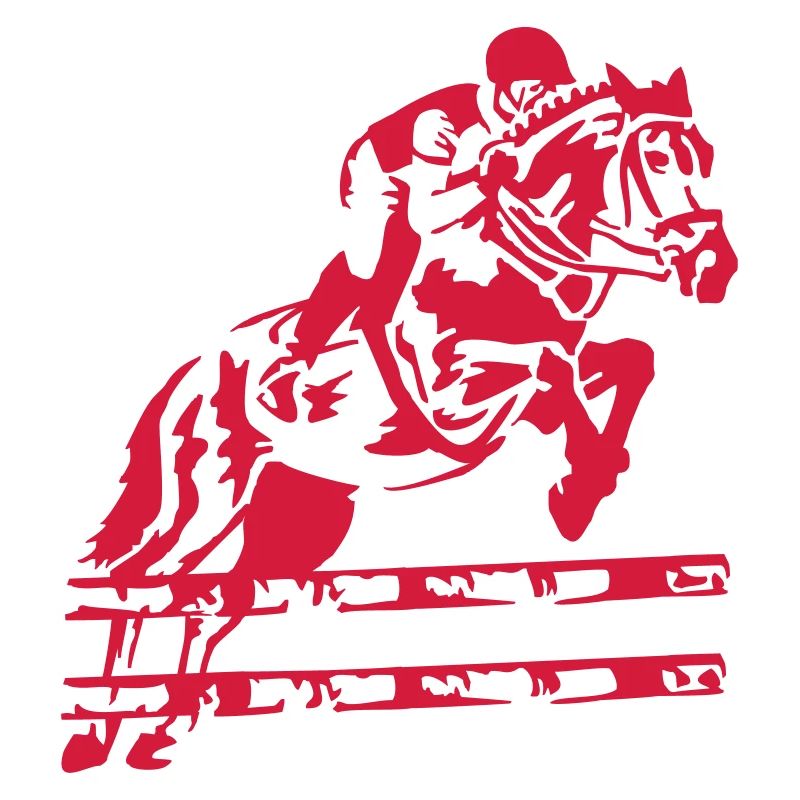 Reiten Reiter Springen