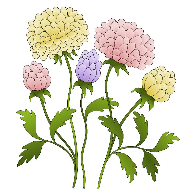 Fleur