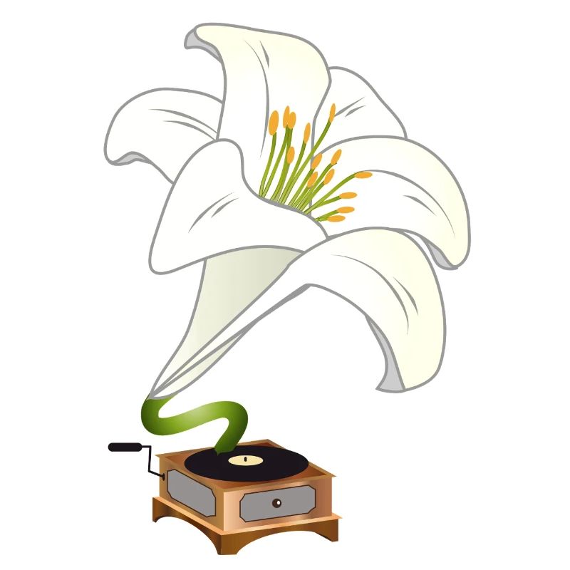 Le lys comme gramophone – Design floral nostalgique