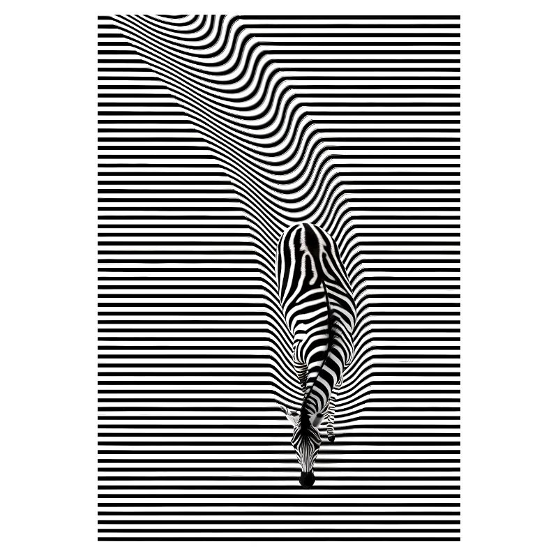 Zebra Optical Illusion