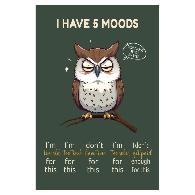 Grumpy Owl – I Have 5 Moods Funny Design