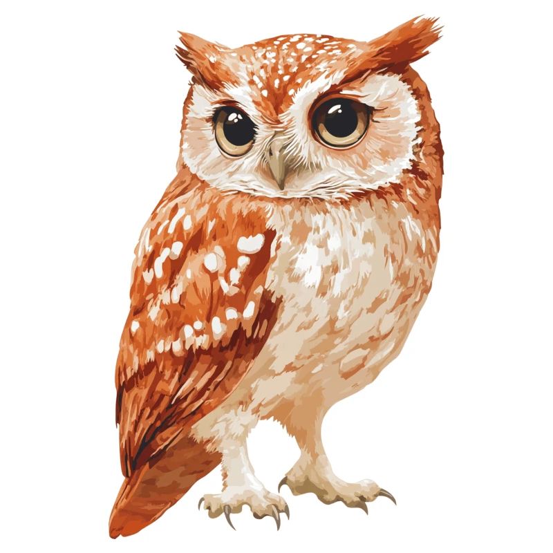 Eule