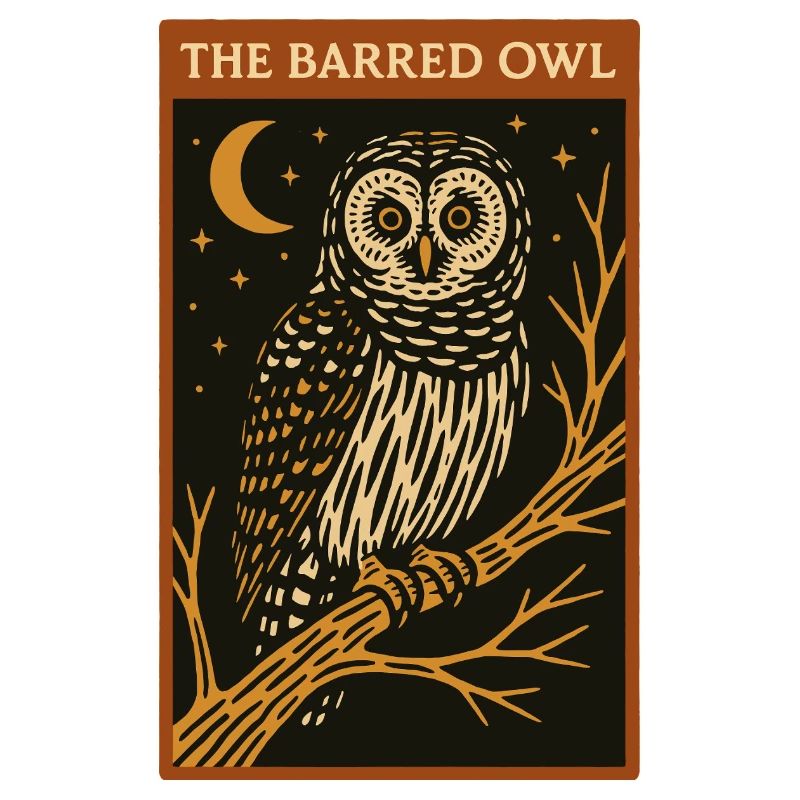 Nächtliche Balkeneule Illustration
