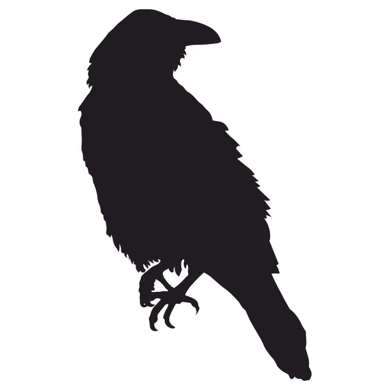 Krähe III