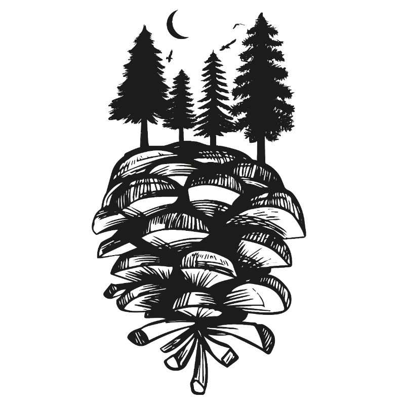 Pine Cone Nature Forest