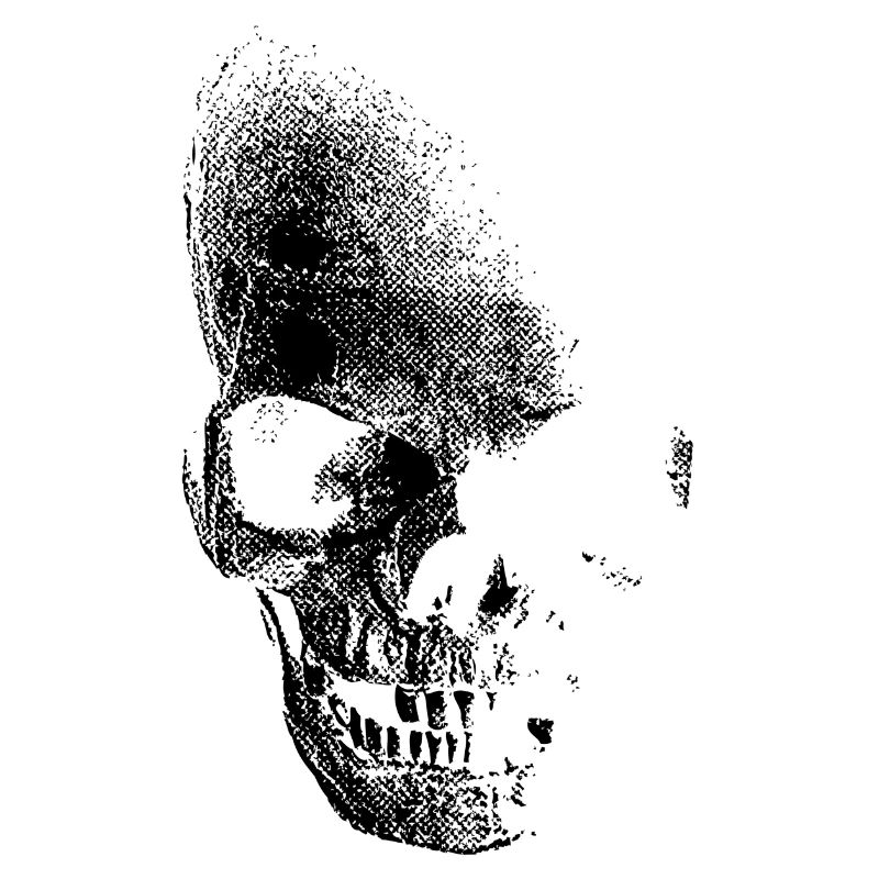 skull totenkopf pirat
