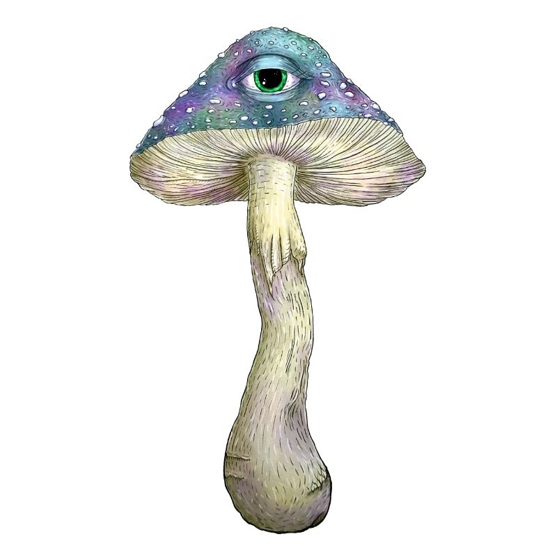 Einäugiger Regenbogenpilz