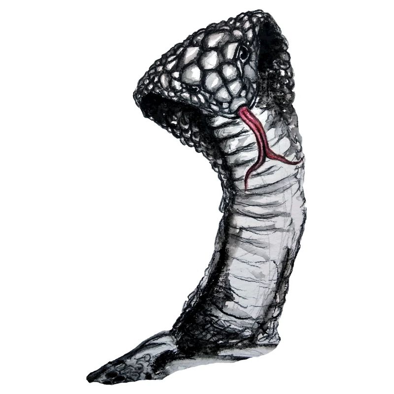 Cobra