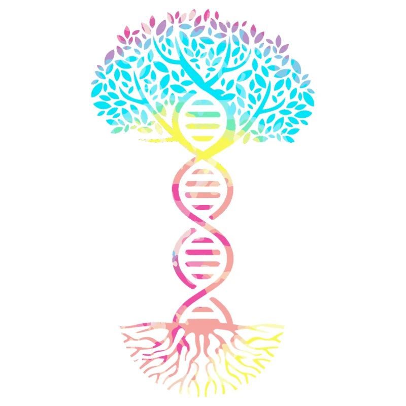 Molécule formule structurale