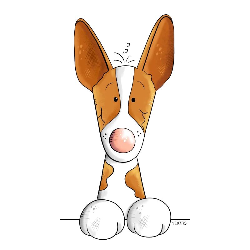Neugieriger Podenco