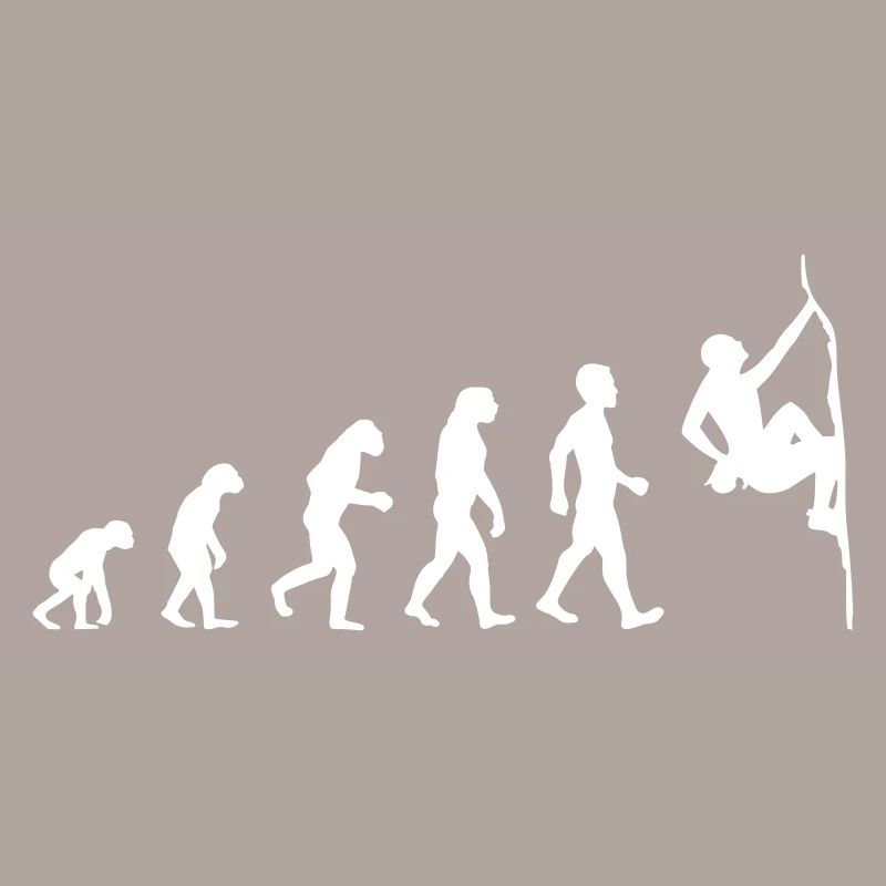 Boulder Evolution