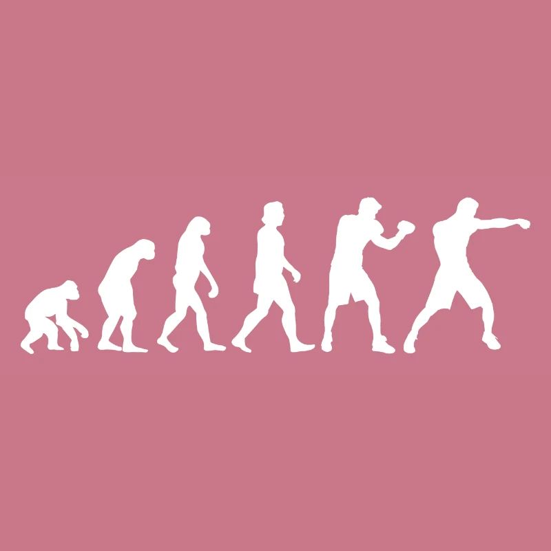 Gants de boxe Evolution Boxer cadeau de boxe