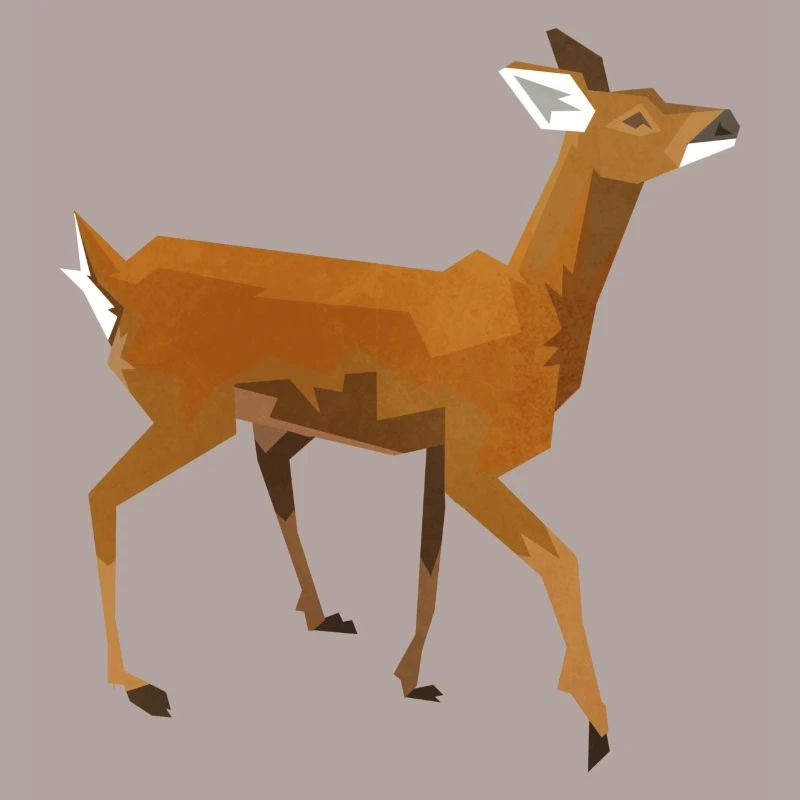 Roe deer