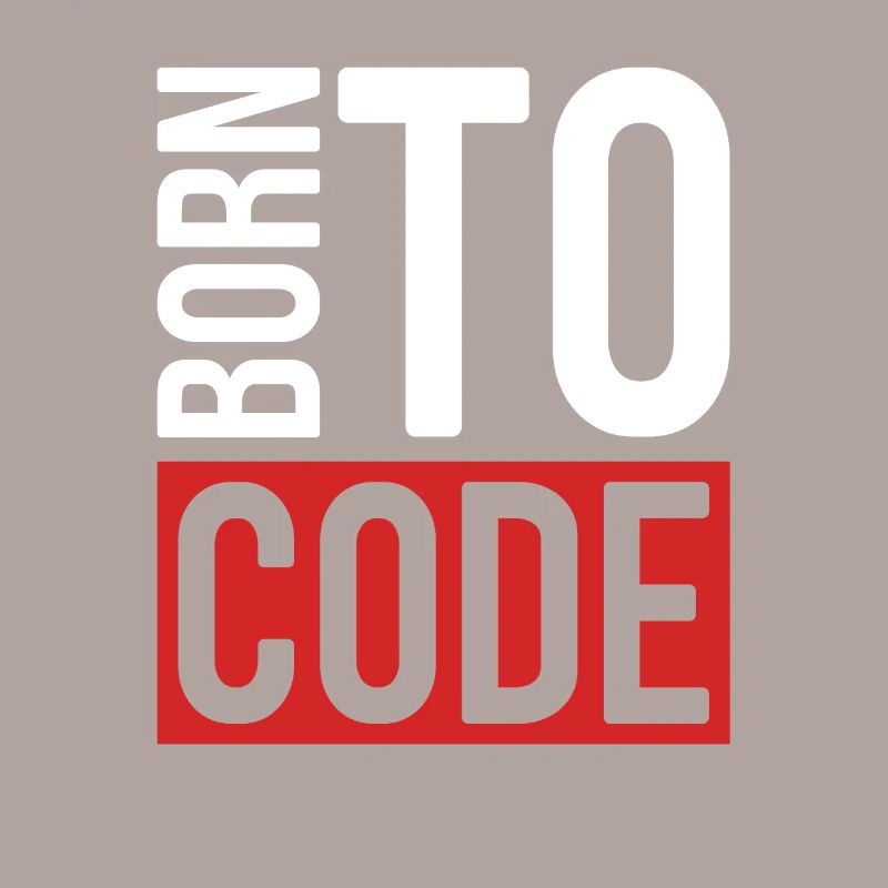 Programmer Coder Software Developer