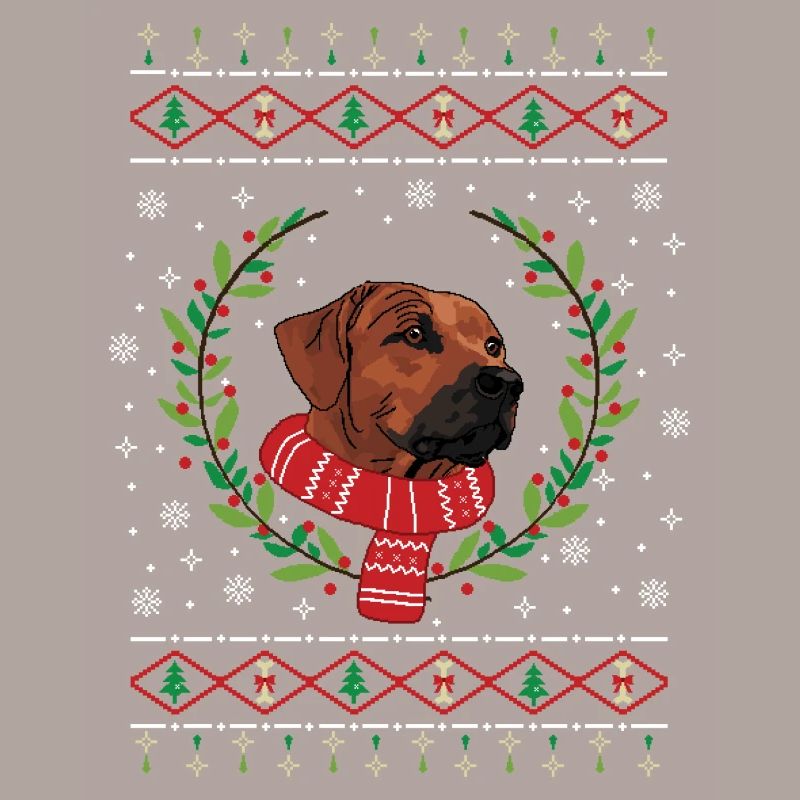Pull de Noël laid Rhodesian Ridgeback