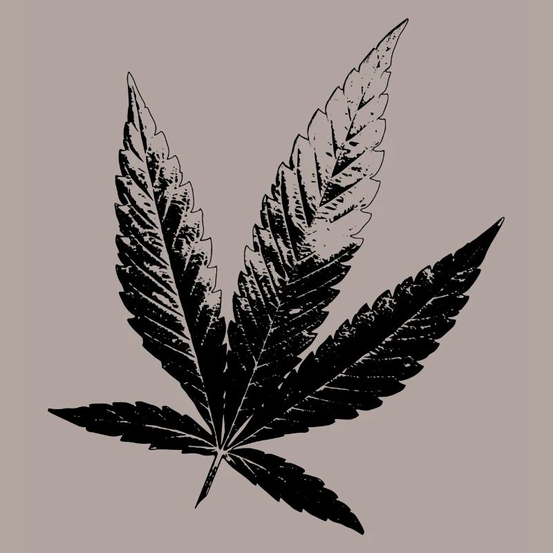 Cannabis Hanf Blatt