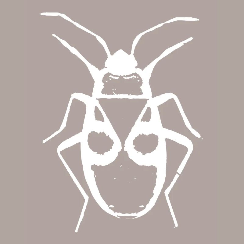 Firebug