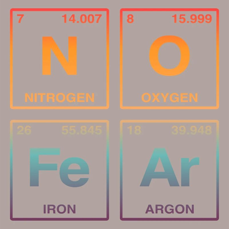 NO FEAR - avec des éléments du système de perdiode