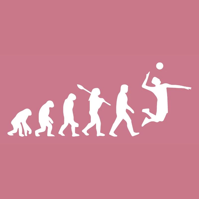 Volleyball Evolution Entwicklung Retro