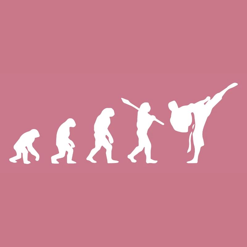 Karate Evolution Development Martial Art