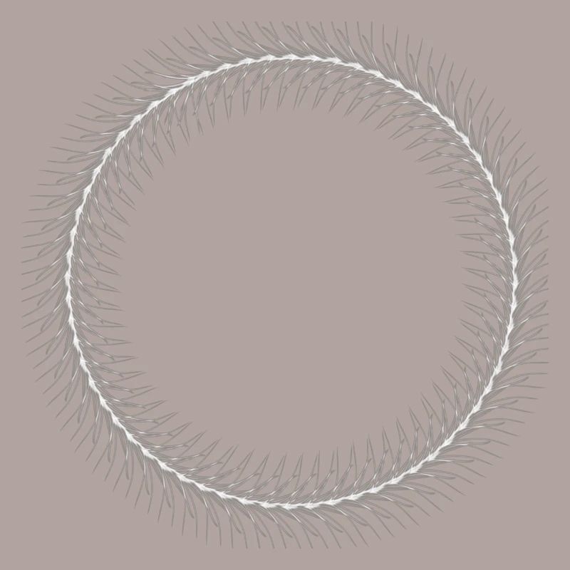 Circle - Ring - Shape - Round - Spring Ring White