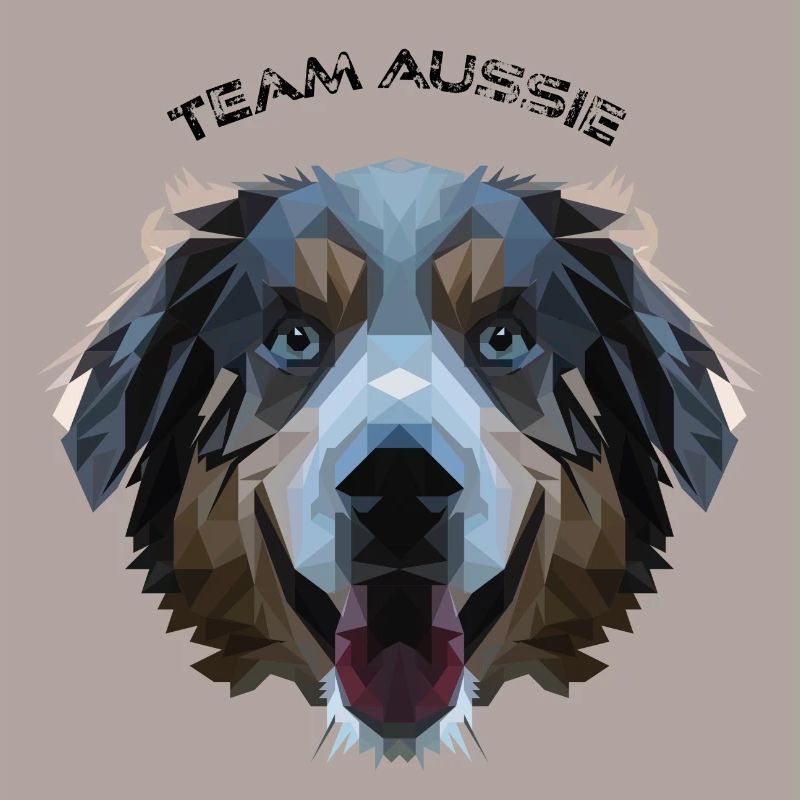 Aussie in polygon design - geometry