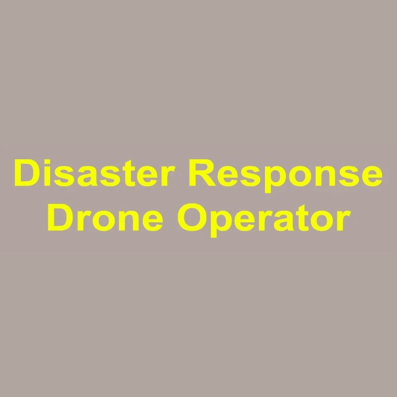 Disaster Response Drone Operator