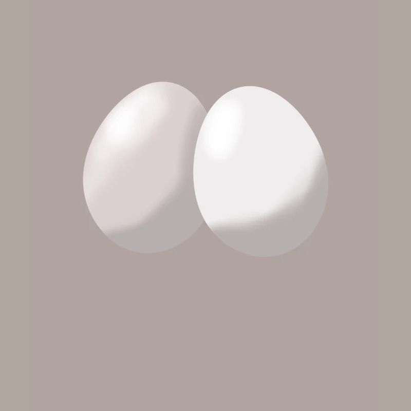 eggs