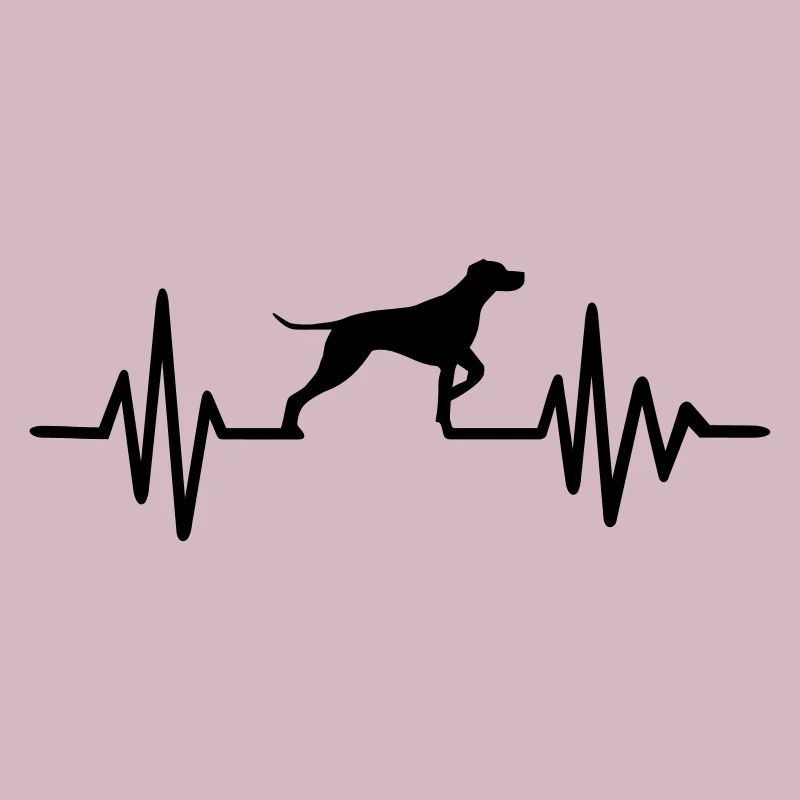 German Shorthaired Pointer