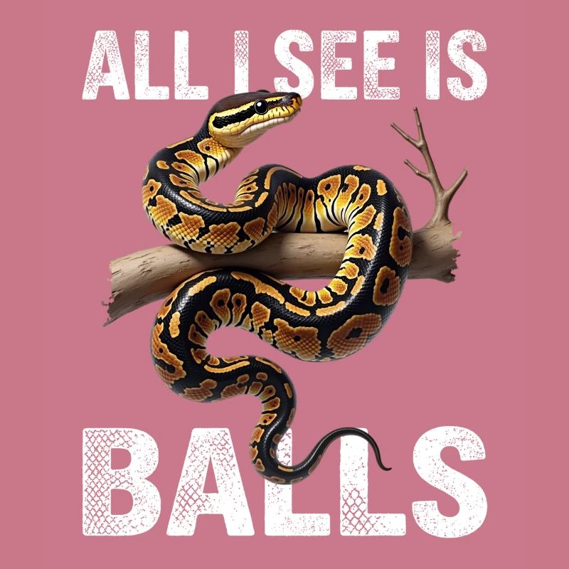 Python roi Serpents Amateurs de terrarium Python